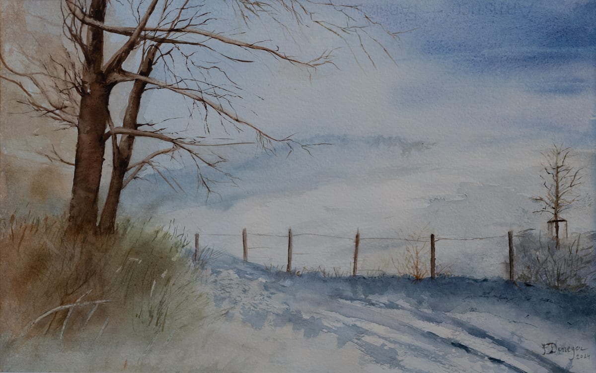 Path in the winter