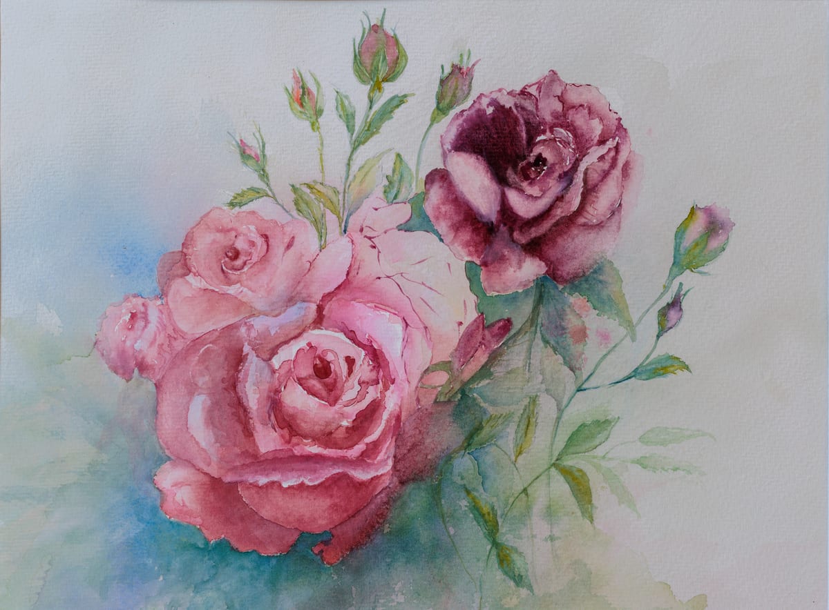 Rose
